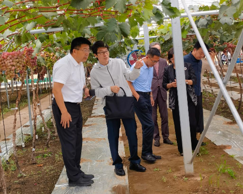 学校党委书记刘广林看望“鲅鱼圈葡萄科技小院”工作学习的直播吧手机版
师生